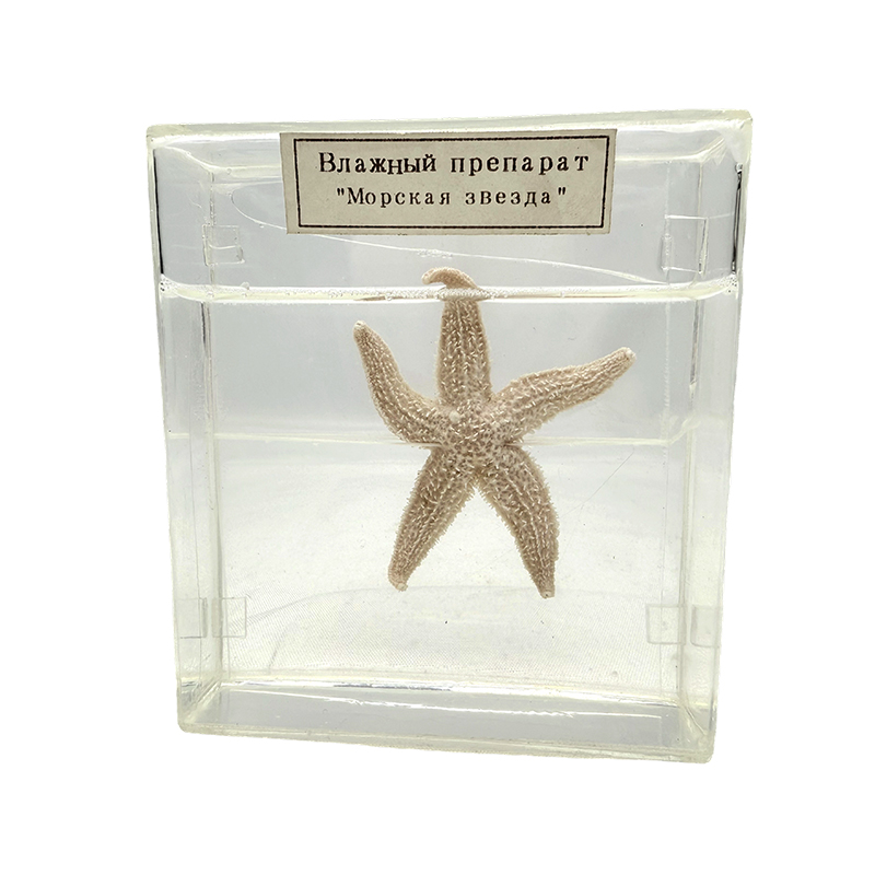 Meren tähden biologinen näyte
